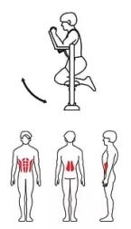 ZOV-002 Тренажер для мышц спины и пресса, фото 2