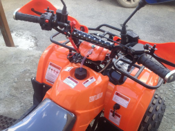 Квадроцикл ATV Termit Libre, фото 4