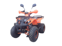 Квадроцикл ATV Termit Libre, фото 1