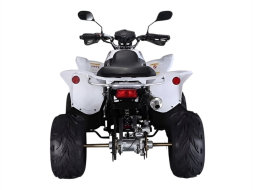 Квадроцикл RATO RТ250SТ-2, фото 3 Квадроцикл RATO RТ250SТ-2, фото 3