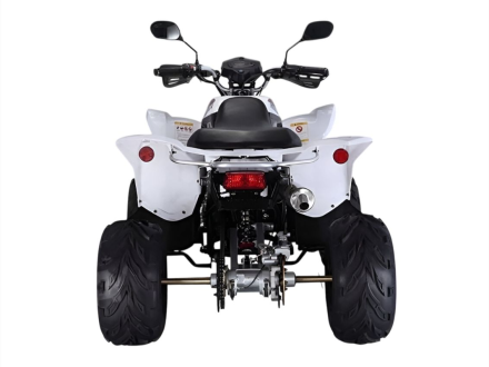 Квадроцикл RATO RТ250SТ-2, фото 3