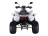 Квадроцикл RATO RТ250SТ-2