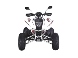 Квадроцикл RATO RТ250SТ-2, фото 2 Квадроцикл RATO RТ250SТ-2, фото 2