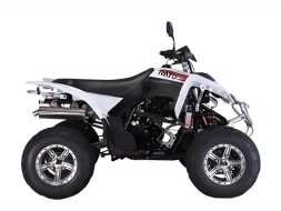 Квадроцикл RATO RТ250SТ-2, фото 1 Квадроцикл RATO RТ250SТ-2, фото 1