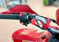 Квадроцикл YACOTA Typhoon 250LD, фото 6