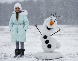 Топиари композиция Дед Мороз, Снегурочка, 4 снеговика - газон Ecо, фото 5