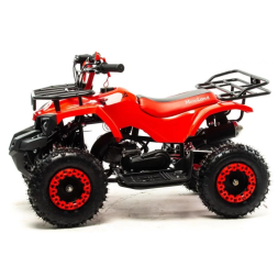 Квадроцикл детский MOTOLAND 50 SCORPION, фото 1