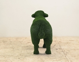 Топиари овечка Долли - газон Есо, фото 4