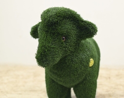 Топиари овечка Долли - газон Есо, фото 3