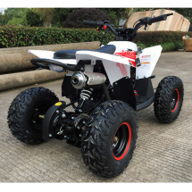 Детский квадроцикл Gekkon 70 (1+1)