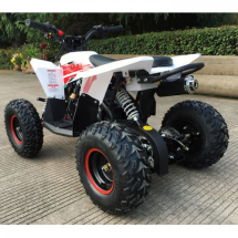 Детский квадроцикл Gekkon 70 (1+1)