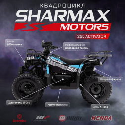 Квадроцикл SHARMAX Activator 250, фото 2