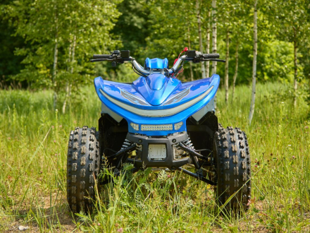 Квадроцикл SHARMAX Cross 180 RX, фото 30