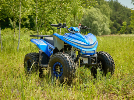 Квадроцикл SHARMAX Cross 180 RX, фото 29