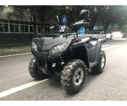 Квадроцикл RATO RT 250 ST LD, фото 5 Квадроцикл RATO RT 250 ST LD, фото 5