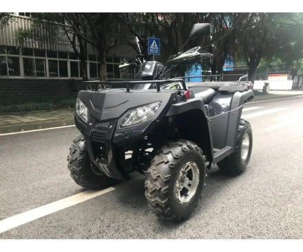 Квадроцикл RATO RT 250 ST LD, фото 5