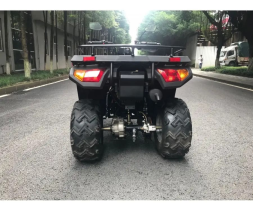 Квадроцикл RATO RT 250 ST LD, фото 3 Квадроцикл RATO RT 250 ST LD, фото 3