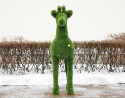 Топиари косуля, самец Рони - газон Deluxe, фото 3