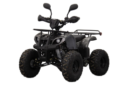 Квадроцикл UNIVERSAL ATV 125 TM Classic, фото 1