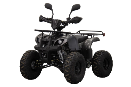 Квадроцикл UNIVERSAL ATV 125 TM Classic, фото 1