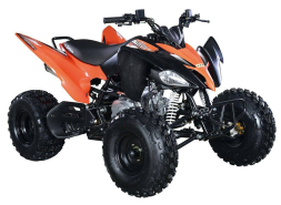 Квадроцикл ABM Scorpion 125M, фото 3