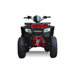 Квадроцикл Progasi Race Jumper 200, фото 14